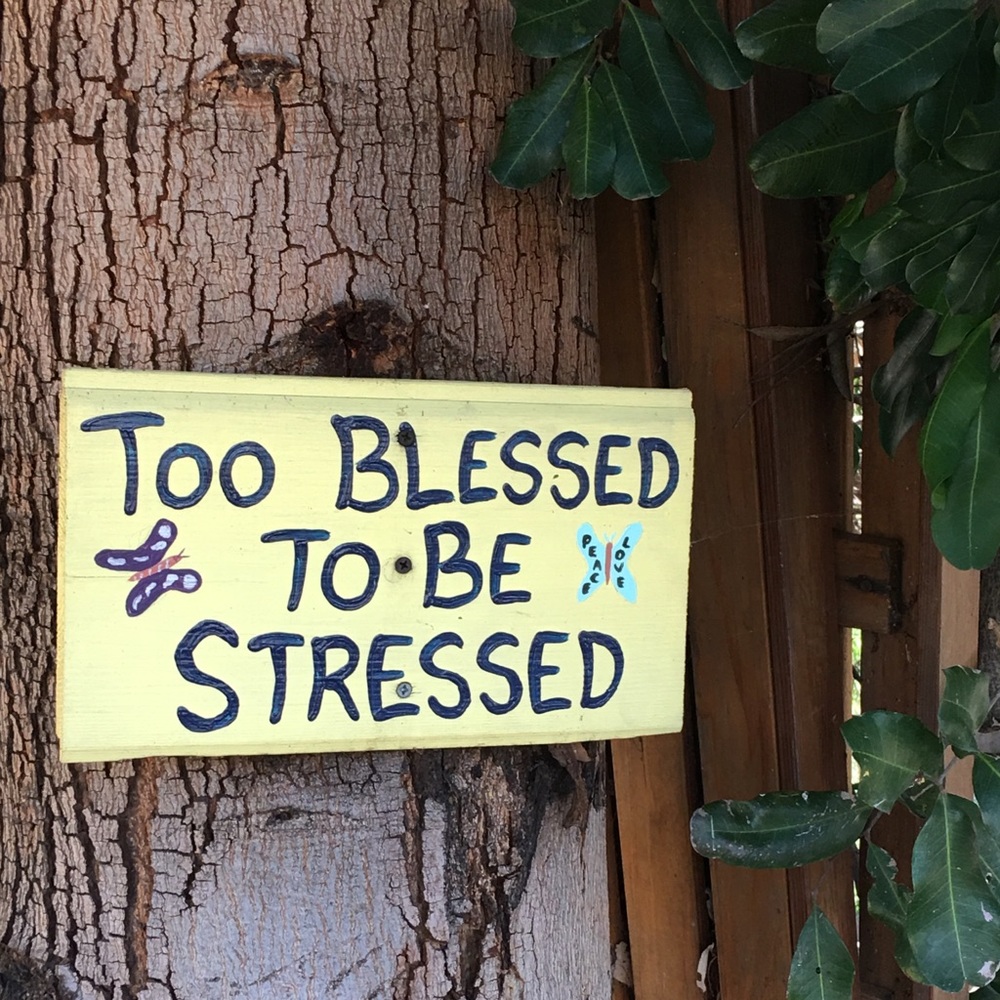 Meet your Posher, Rosa